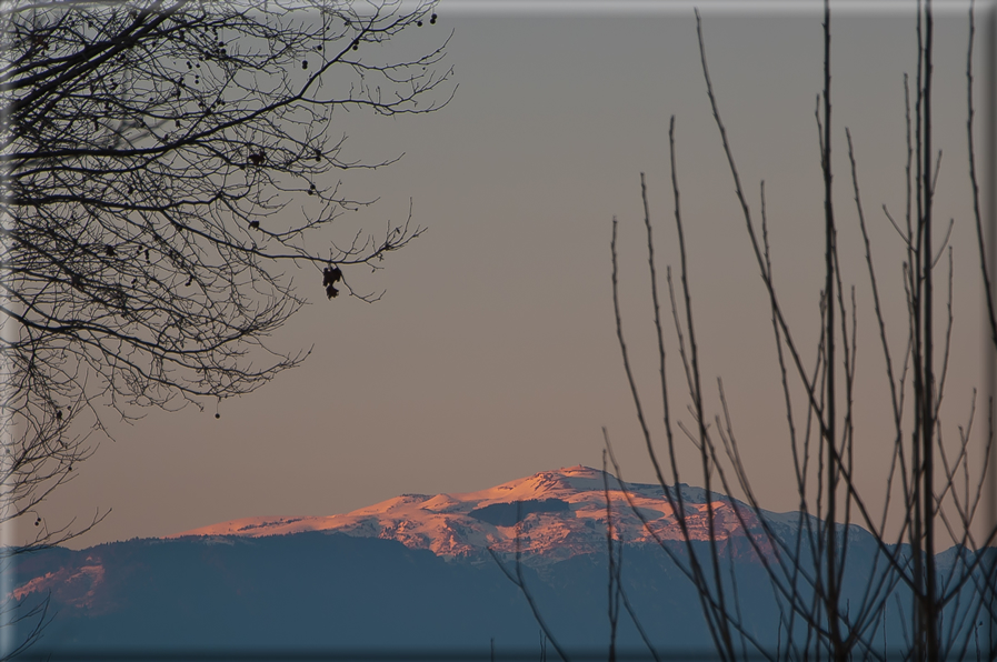 foto Pendici del Monte Grappa in Inverno